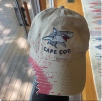 🦈 Hat