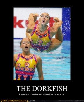 dorkfish