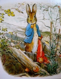 PETER RABBIT , CREATED BY BEATRIX POTTER IN 1902