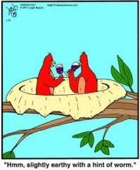 Wine Snobs