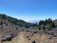 La Palma Volcano