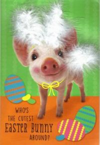 Easter Piggy
