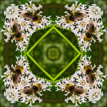 Solve #1 very small jigsaw puzzle online with 25 pieces