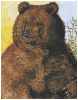 Bear ~ Jerry Pinkney