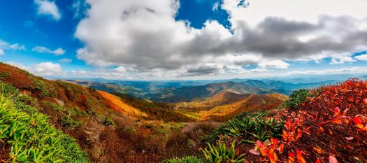 Roan Mountain, located on the Tennessee North Carolina border