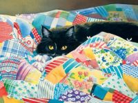 grandmas quilt