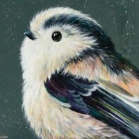 Bird Art by Kim Haskins
