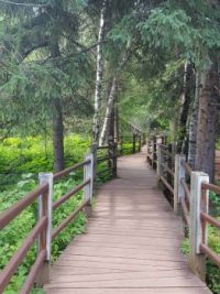 Gooseberry Falls Walkway