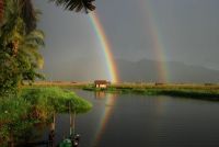 rainbow