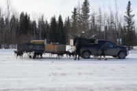 Sled Dog Meal Stop