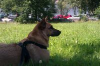 my girl
