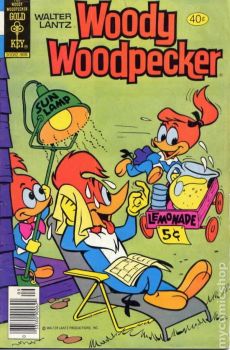 Woody Woodpecker: Hot In The Sun