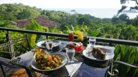Lunch in the jungle