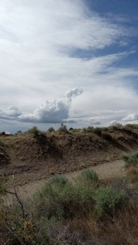 Cloud Dragon