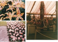 *Holland (1989) 4 of 4