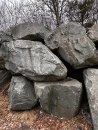 I wonder what's hiding in there!?!