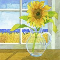 Sunflower In The Window