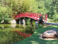 Japanese Bridge