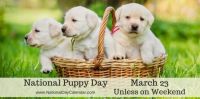 Today Is National Puppy Day!!