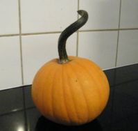 first pumpkin