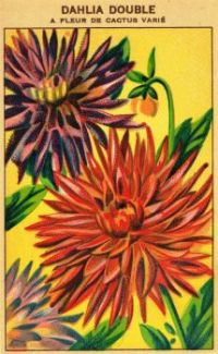 French Seed Packet Label