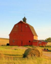 Red Barn -- Golden Field...