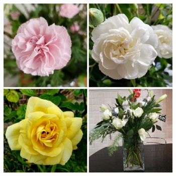 Flower Collage