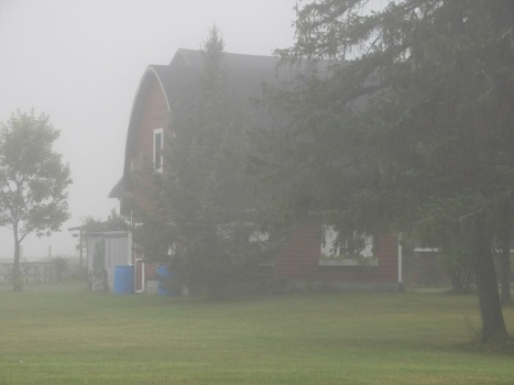 A barn in the fog