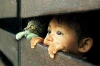 Voyeur