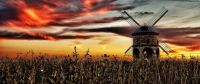windmill in a field