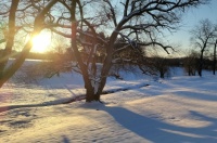 Snowy, sunny morning