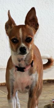 Lucy