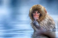 A cold day
