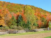 Autumn in Vermont - easy
