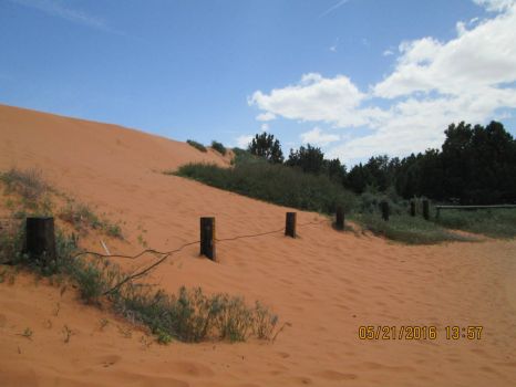 red sand dunes in Utah