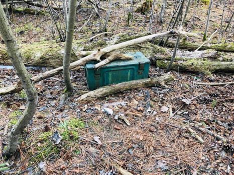 Ammo can in the woods (geocache)