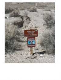 Rattlesnake sign