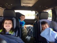 Bleu and his new family
