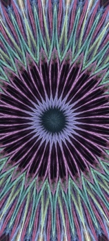 Kaleido