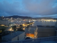 Wellington Harbour by Night - same Hotel Window.