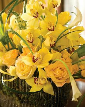 Happiness is : Sunshine in a Vase!