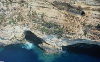 Bats in Malta 12.