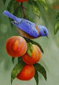 bluebird and peaches