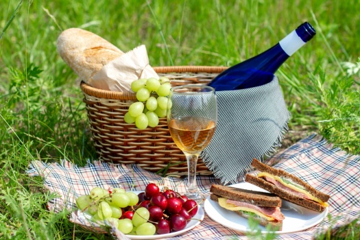 Solve Picnic in the grass jigsaw puzzle online with 96 pieces