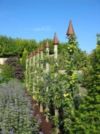 garden in France