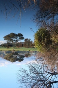 Reflections