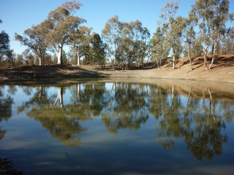 Duck Pond South Australia