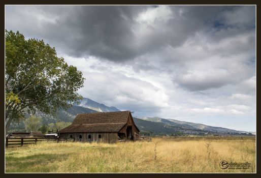 Twaddle-Pedroli Ranch, Washoe Valley, NV