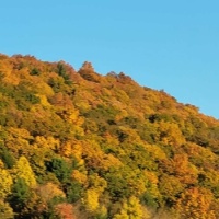 Fall 2024 southern mountain area of New York state