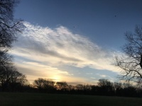 Morning Clouds (with birds)  (medium)